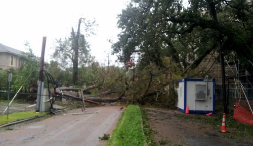 0830broadwaytree