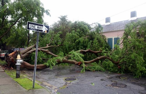 0424elm