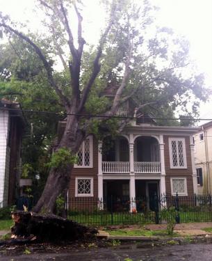 0424sycamore