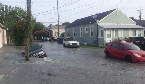 cohnflood1