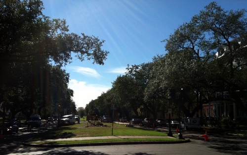 Napoleon Avenue neutral ground, minus crepe myrtles. (photo by Jean-Paul Villere)