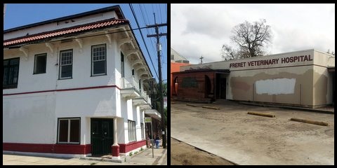 At left, the cluster of buildings owned by the Barreca family at Cadiz and Freret. At right, the former Freret Veterinary Hospital. (Robert Morris, UptownMessenger.com)