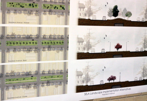 Possible options for the Napoleon Avenue landscaping. (UptownMessenger.com)