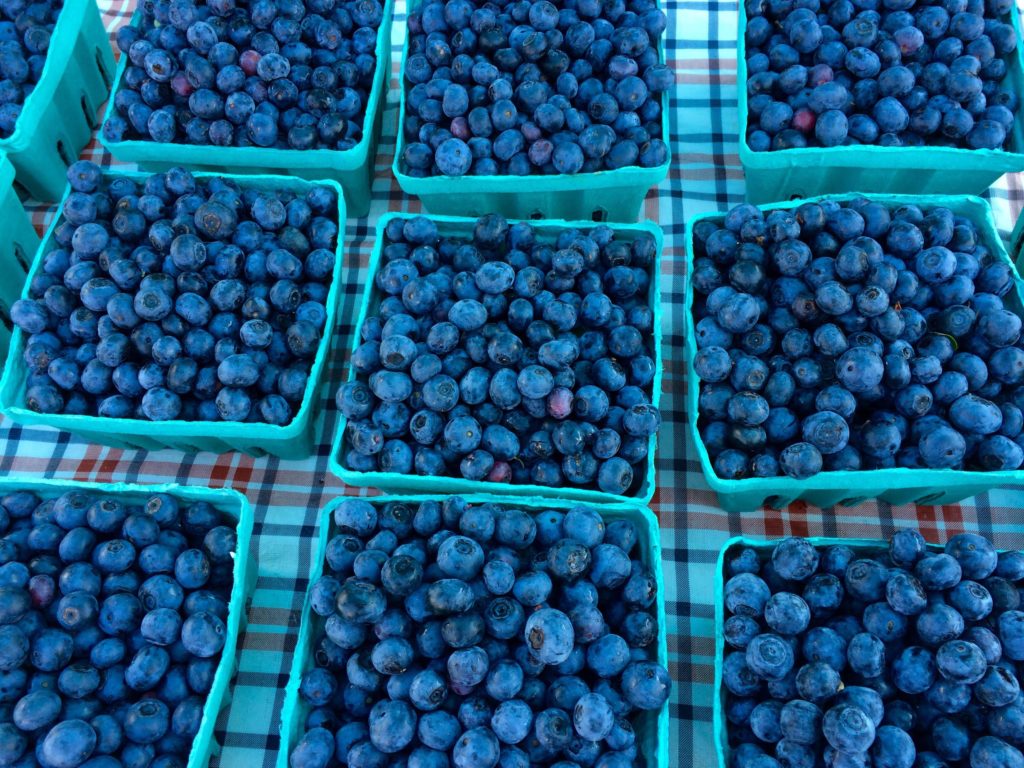 Jerry Burg’s Blueberries (Froeba)