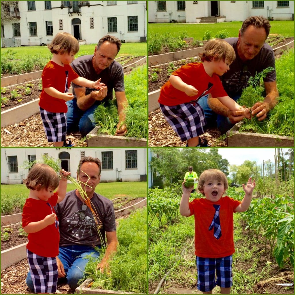 Two Acre Farms owner Elvia Chauvin teaches visitor Mick O’Leary, aged one, how to choose and harvest fresh carrots. (Froeba)