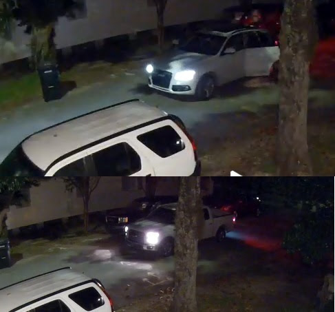 Surveillance video shows a car burglary on Calhoun Street early on Nov. 2 (via NOPD)