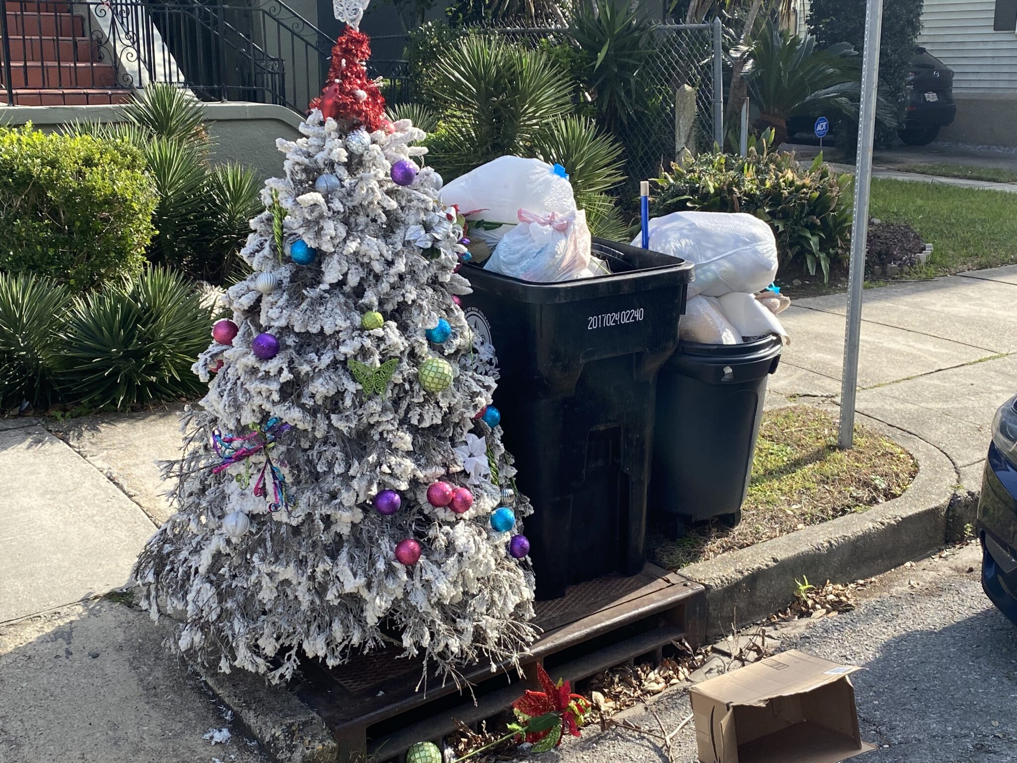 When to put out your holiday trash, recycling and Christmas trees